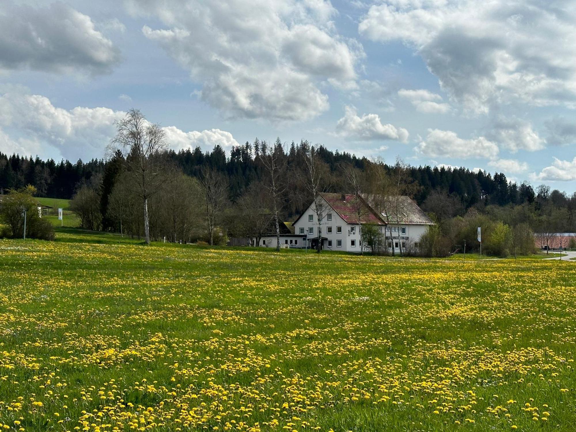 Zum Bayrischen Wirt Hotell Maierhöfen Eksteriør bilde